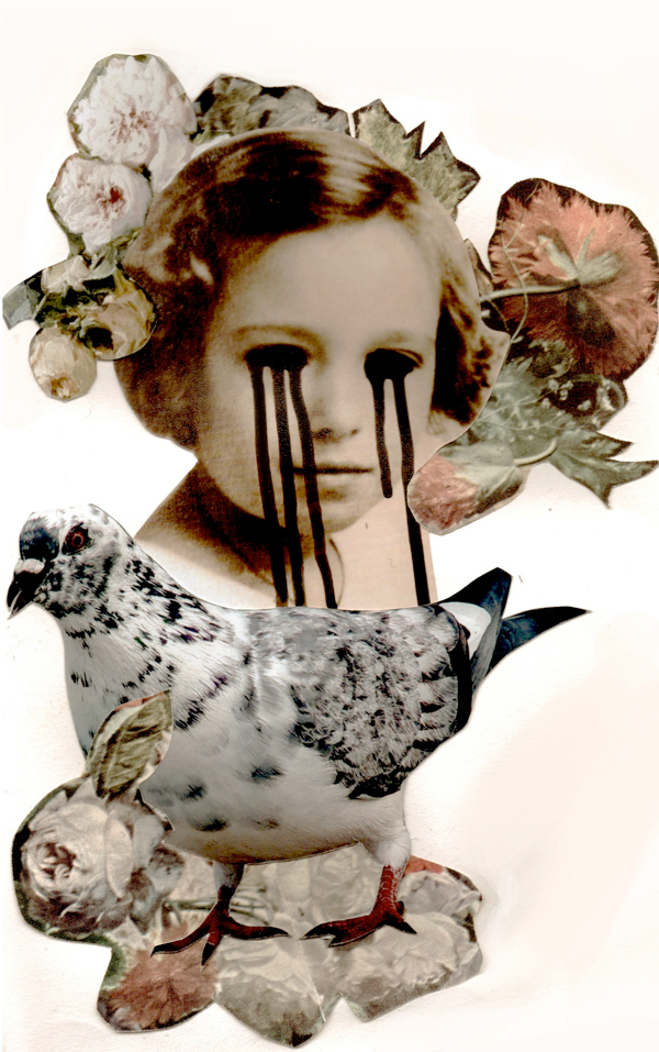 collage FINEART gothic surreal taxidermy