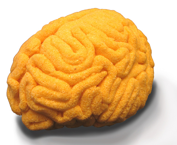 sculpture brain anatomy Food  medicine art