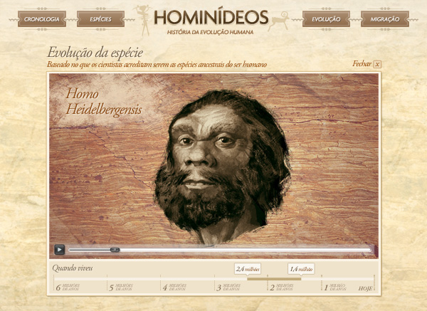 hominideos  ancestrais humanos evolucao humana homo sapiens