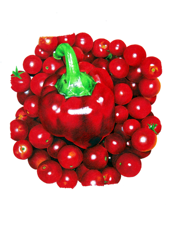 Food  Fruit vegetable colored pencil fine art pomegranate Tomato Bell Pepper pepper broccoli