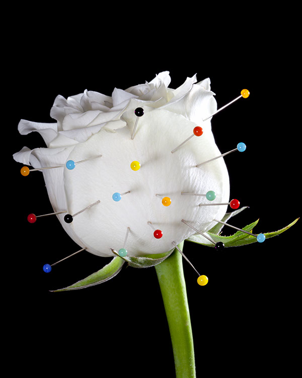 fleur couture blanc