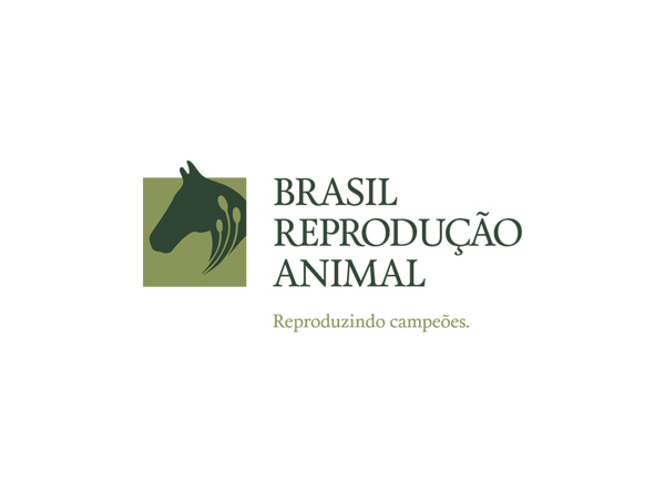 Brasil reprodução horse cavalo animal laboratorio logo Verde green papelaria Stationery businesscard card