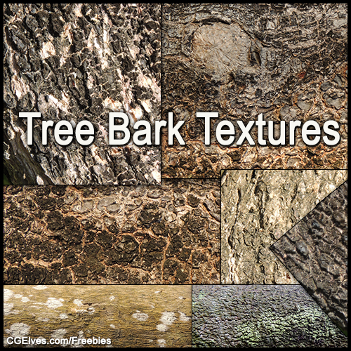free organic textures free tree bark Tree Bark Textures hires tree barktextures hires tree textures game textures free freehires bark photos tree bark stockphotosfree rough treebark texturesfree
