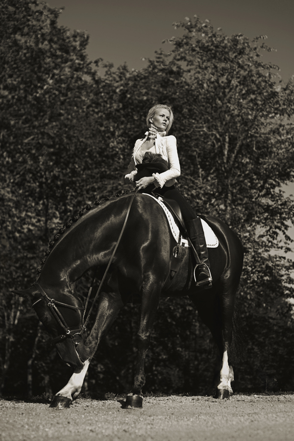 light horse black and white Victorian  marlboro  cowboy  sepia  horseriding Style