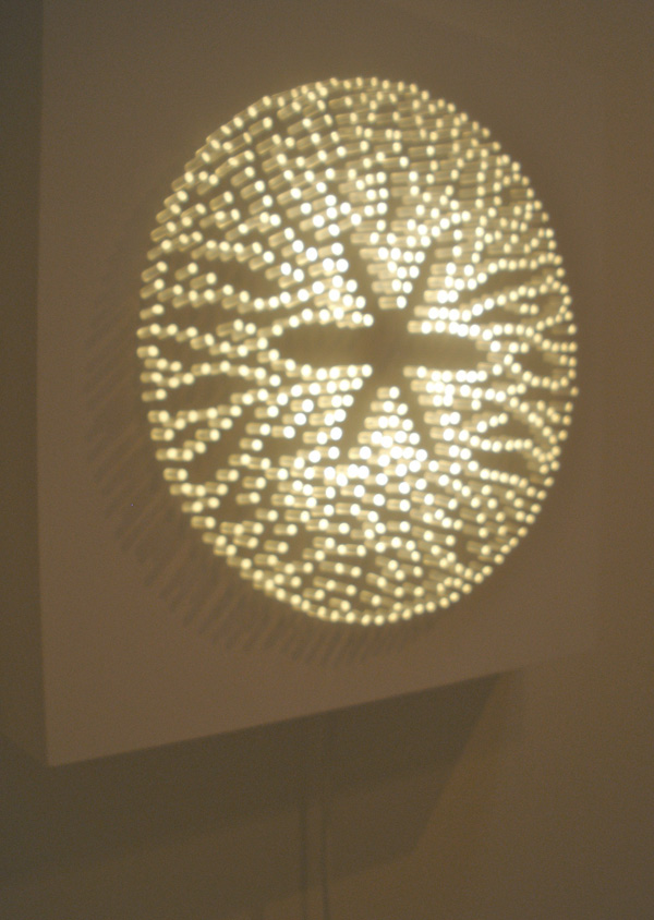 light box  lightbox  diatom  poly-optic fibre