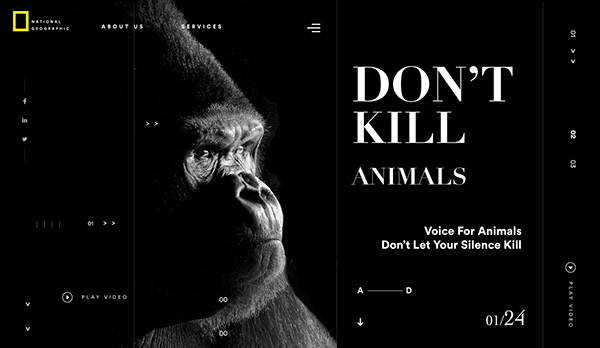 Don't Kill Animals Redesign concept