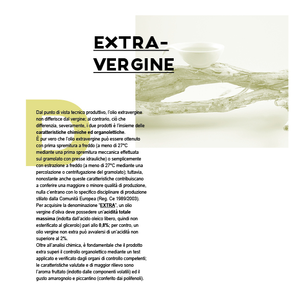 olive oil brand identity payoff editorial publishing   extravergine italian