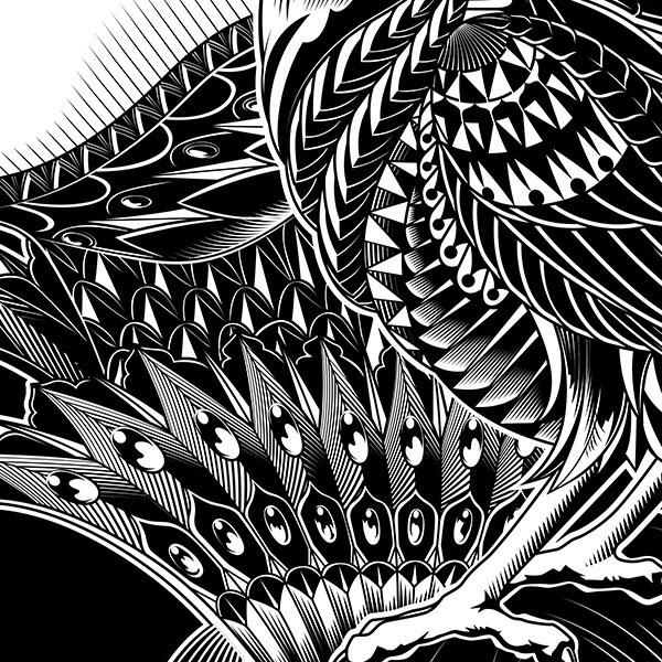 maleficent movie ben kwok bioworkz bioworkz.com vector art artwork dark evil crow raven pattern ornate
