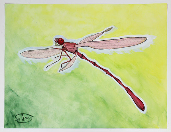 insect large paintings Insect paintings watercolor watercolor painting
