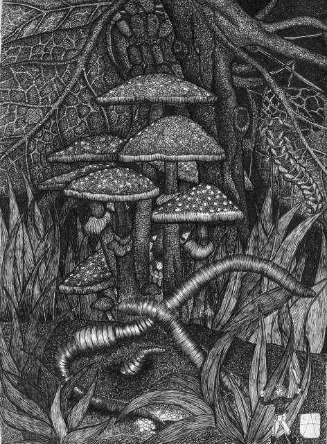 pen and ink black and white pigment ink bristol board  india ink  Mushrooms  fungus  fungi  Quincunx dreams dream sequence