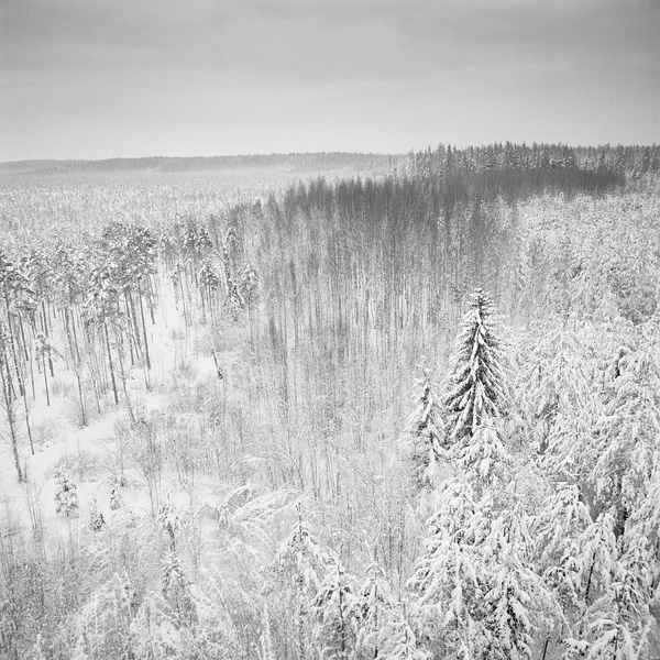 Landscape art photography fine art photography analog photography film photography Classic black and white minimalist Estonia estonian Baltic Hasselblad square format medium format 6x6
