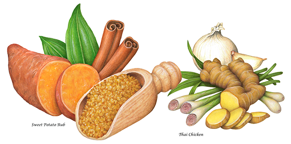 Packaging Ingredient Illustrations for Williams Sonoma