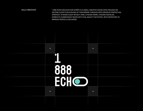 1-888-ECHO - Agency Landing Page
