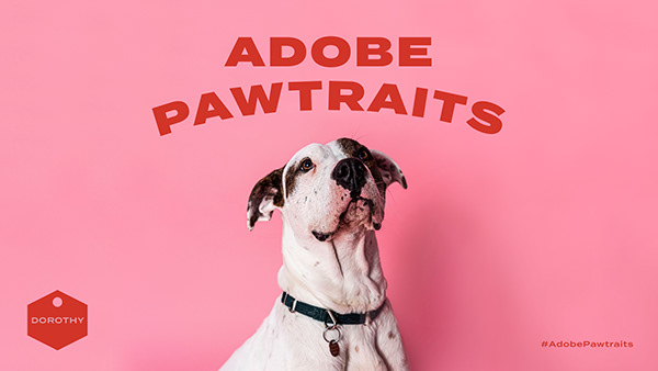 Adobe Pawtraits