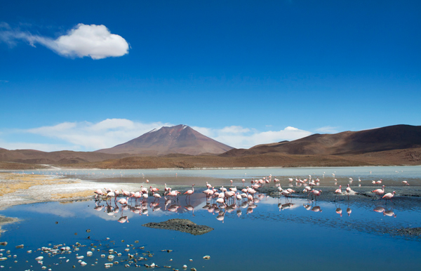 South America bolivia Salar de Uyuni salt flat Travel Landscape landscape photography Backpacking laguna volcano