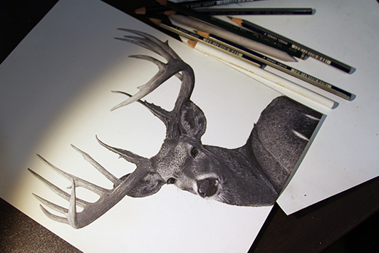 Realistic Pencil Drawing Deer | See Full Post: Realistic Pen… | Flickr
