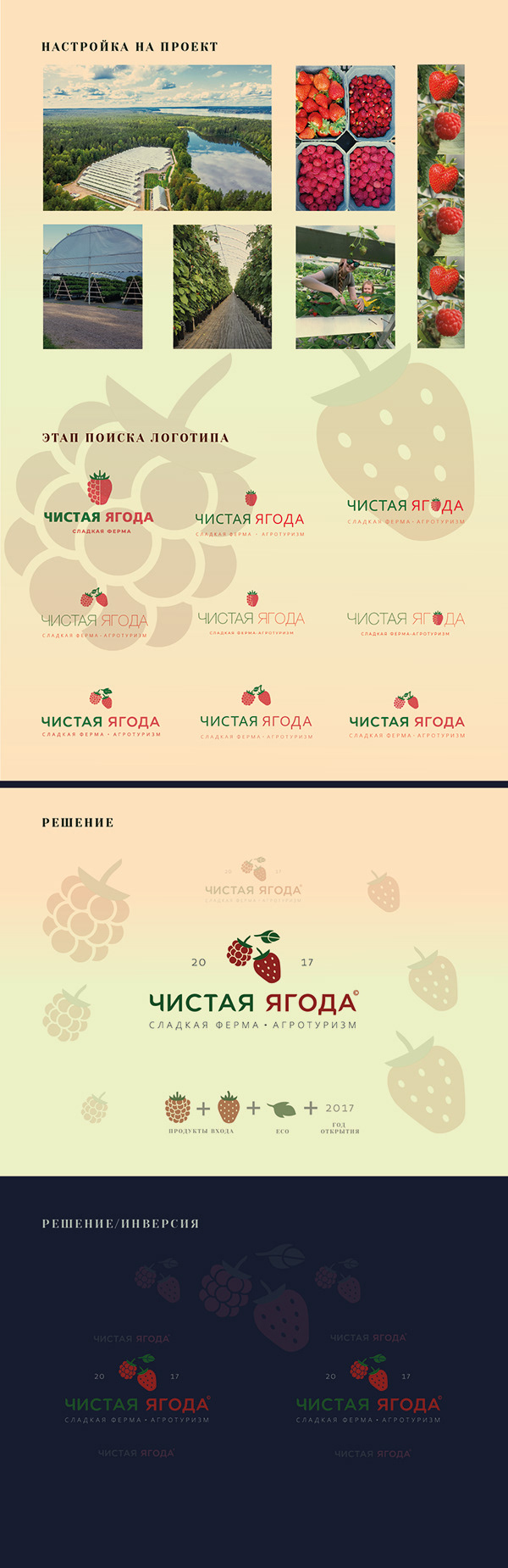 Вкусный логотип для ягодной фермы | Logo for berry farm