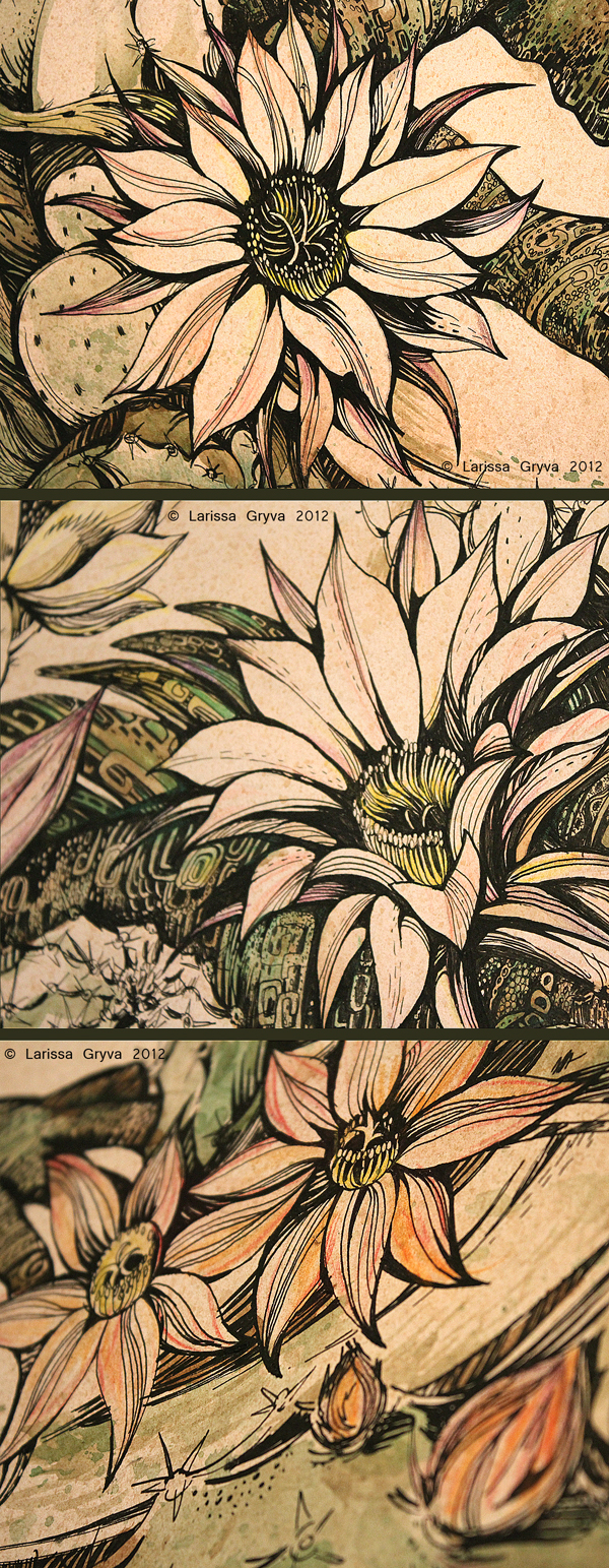 iguana ink watercolor lines Flowers colored paper cactus graphic decorative handwork drops reptile dragon Retro