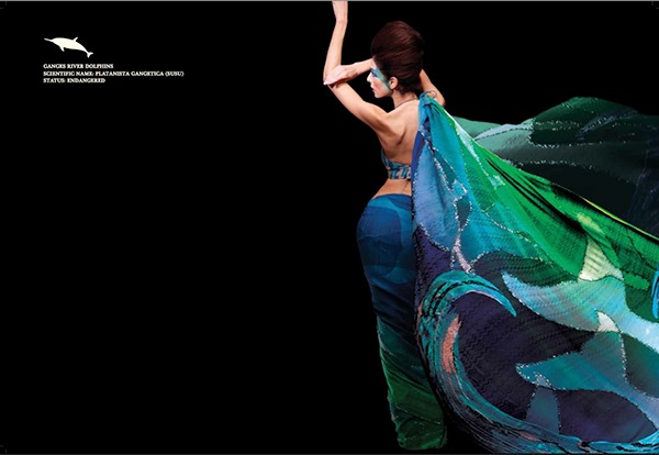 animals  catalog  fashion  Brochure design  ads  Indian fashion