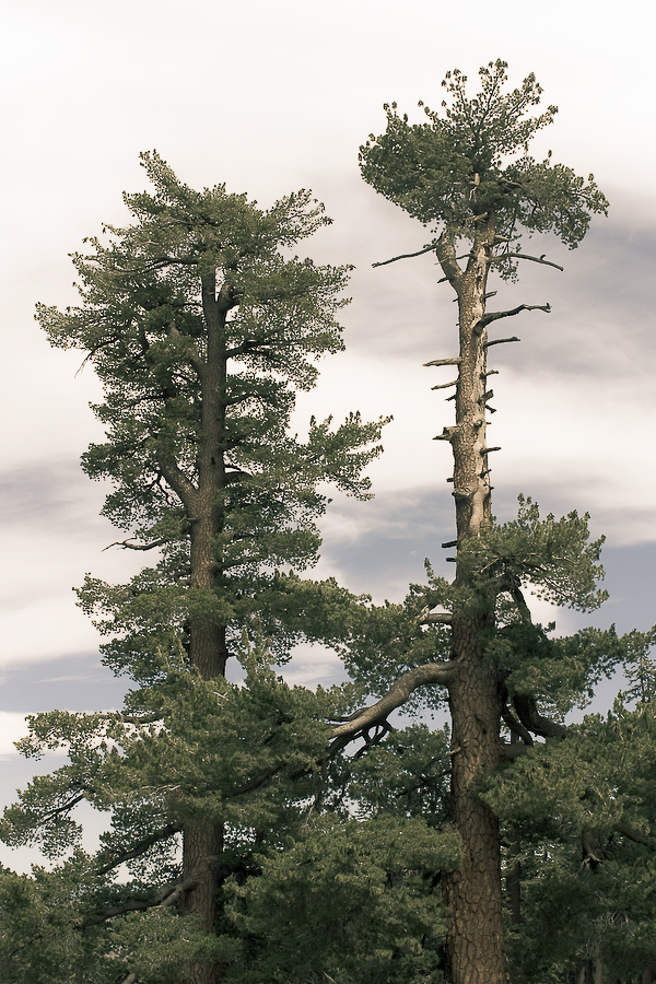 Travel California National Park road trip drive Landscape scenery