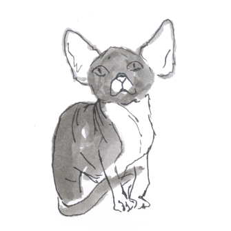 doodle דודלים   Cat кот pattern ink