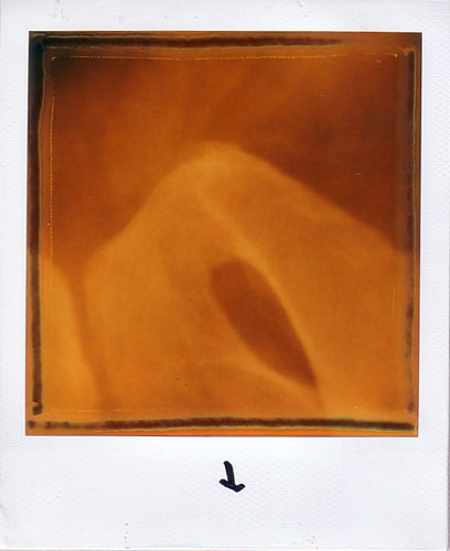 POLAROID Polaroids x rays polaroid 600 instant film