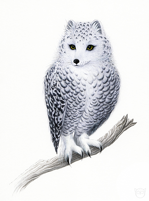 fantasy animals beasts hybrids whimsical Visual Development magical creatures storybook fairy tale fox owls Snowy Owls arctic foxes imaginary