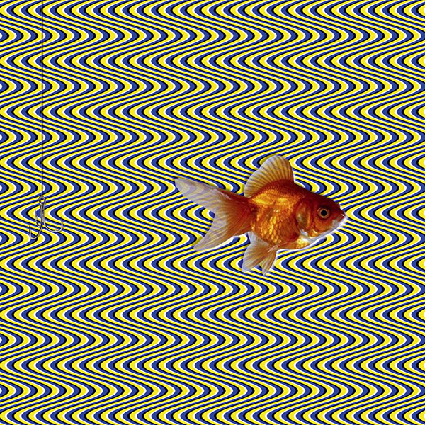 relative motion moving pattern optical illusion