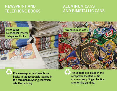 recycling recycle green eco brochures college