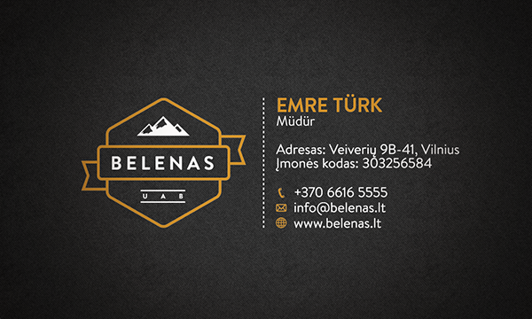 corporate id logo envelope business card