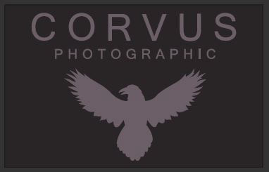 business Business Cards photography cards spot uv uv cards crow corvus cards