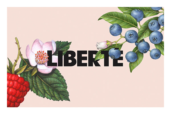Liberté Organic / Packaging
