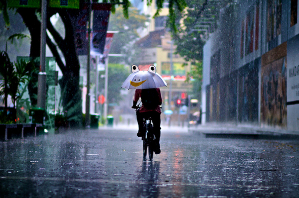 Bad Weather - Monsoon Photography Gallery