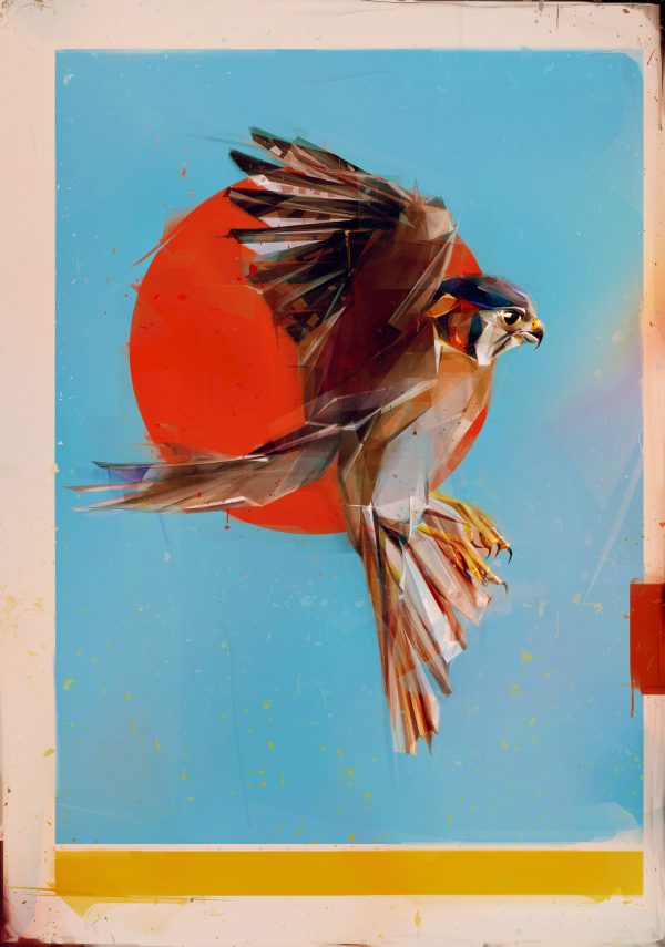bird portrait design color background denis gonchar flying birds Dynamic