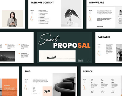 business ILLUSTRATION  Powerpoint PPT slides template