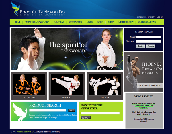 web design ecommerce