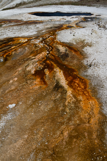 Yellowstone hotsprings Bacteria Landscape Nature national parks