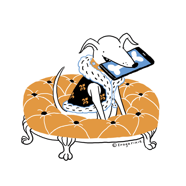 luxury dog blue orange smartphone digitalart ILLUSTRATION 