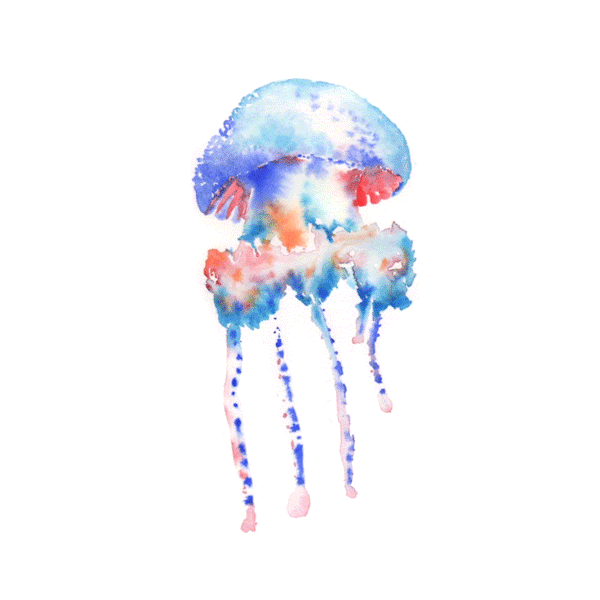 gouache aquarium HAWAII jellyfish watercolor Cel Animation