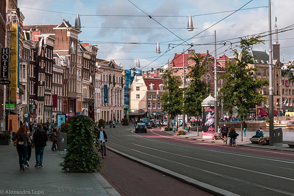 Travel Journal: On the Streets of Amsterdam