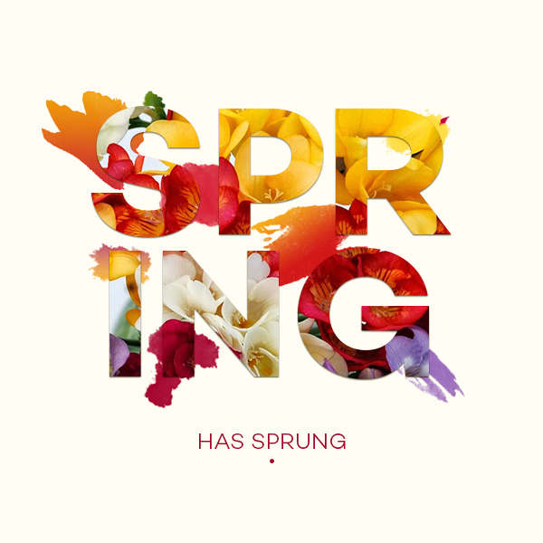 spring firstdayofspring Socialmedia design graphicdesign colors typo minimal