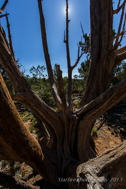 Mesa Verde Anasazi David Martin starfire photography archaeology Colorado