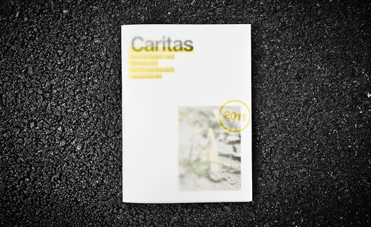 annual report  caritas publishing   corporate publishing Corporate Design infographics