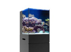 Premium Aquatics - Buying a 120-Gallon Aquarium