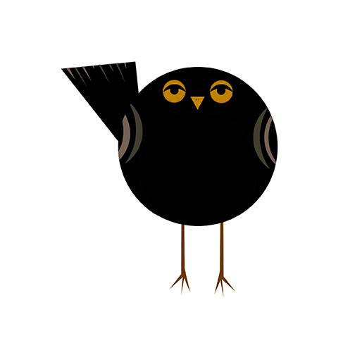 british common birds