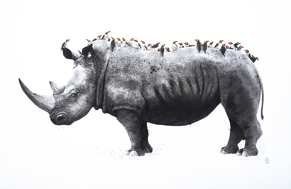 The rhinoceros and the buphagus