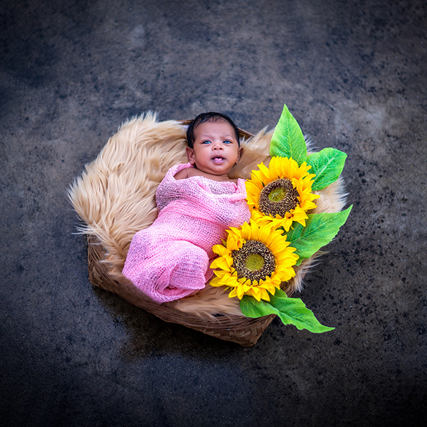 Newborn Baby Girl Photoshoot
