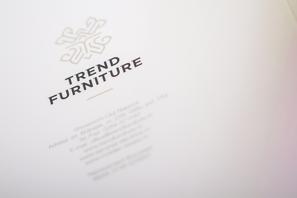 trend furniture print brochure presentation furniture ID logo business card