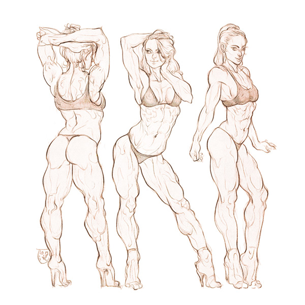 fitgirls female BodyBuilding gym muscular anatomy Drawing figure fitness bi...