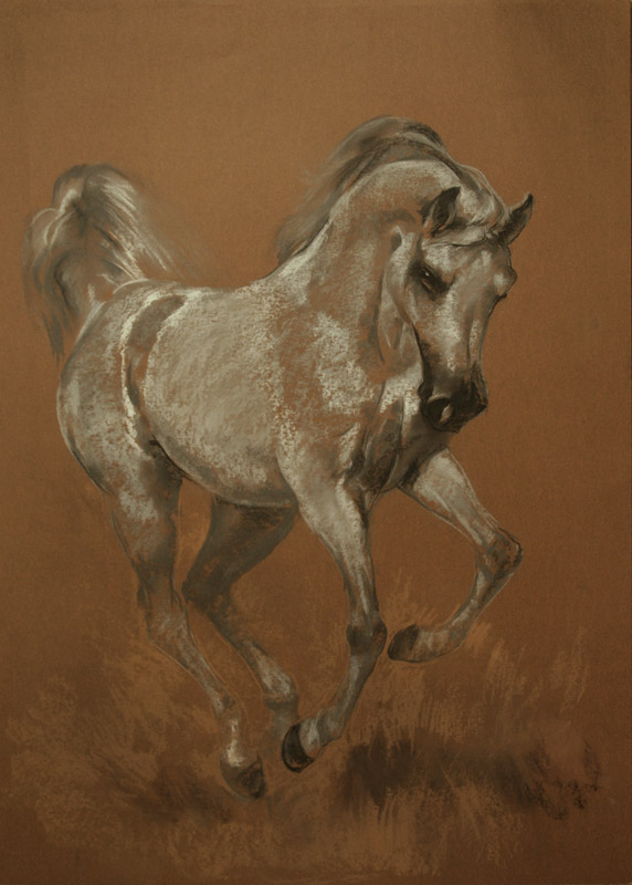 horse dry chalk